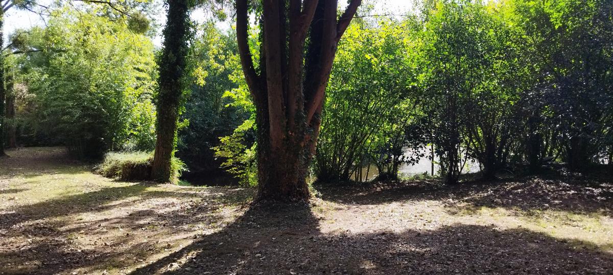 terrain à Le Poiré-sur-Vie