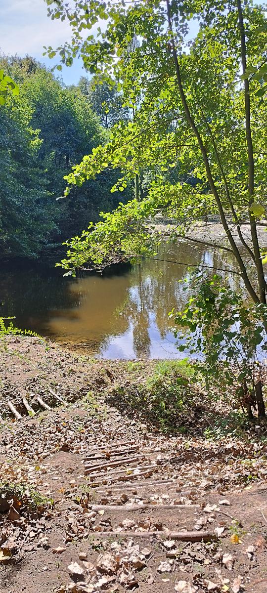 terrain à Le Poiré-sur-Vie