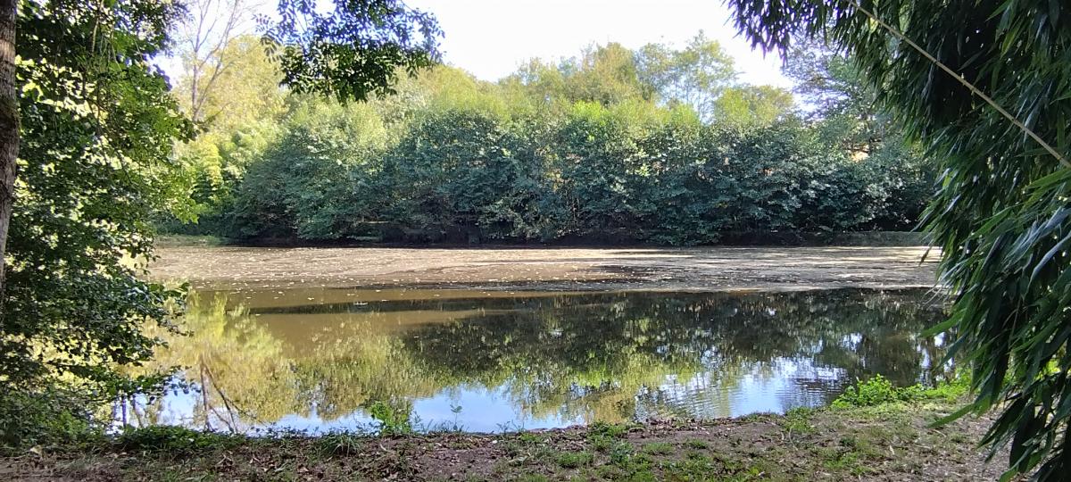 terrain à Le Poiré-sur-Vie