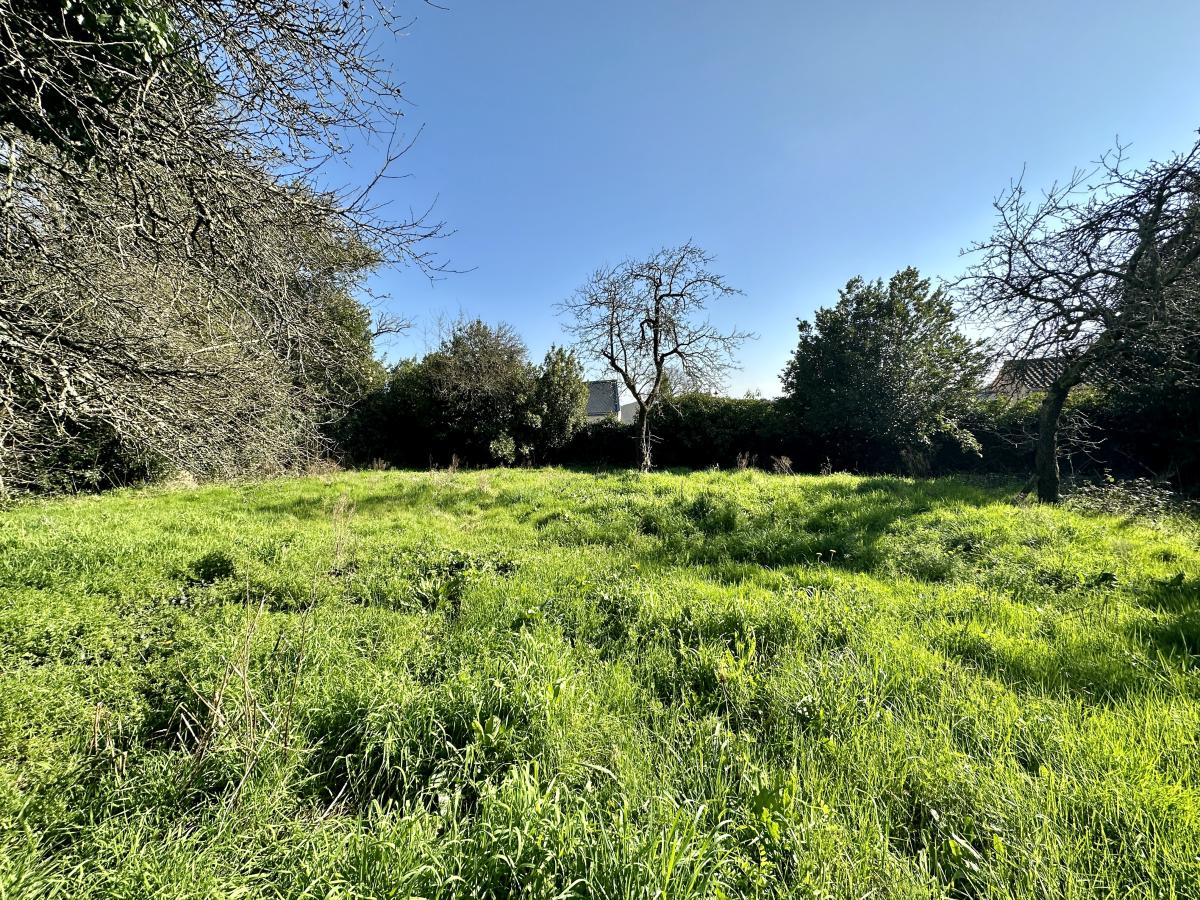 terrain à Moutiers-les-Mauxfaits