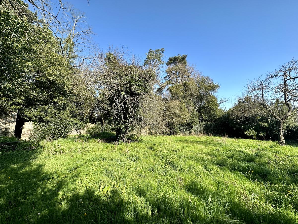 terrain à Moutiers-les-Mauxfaits