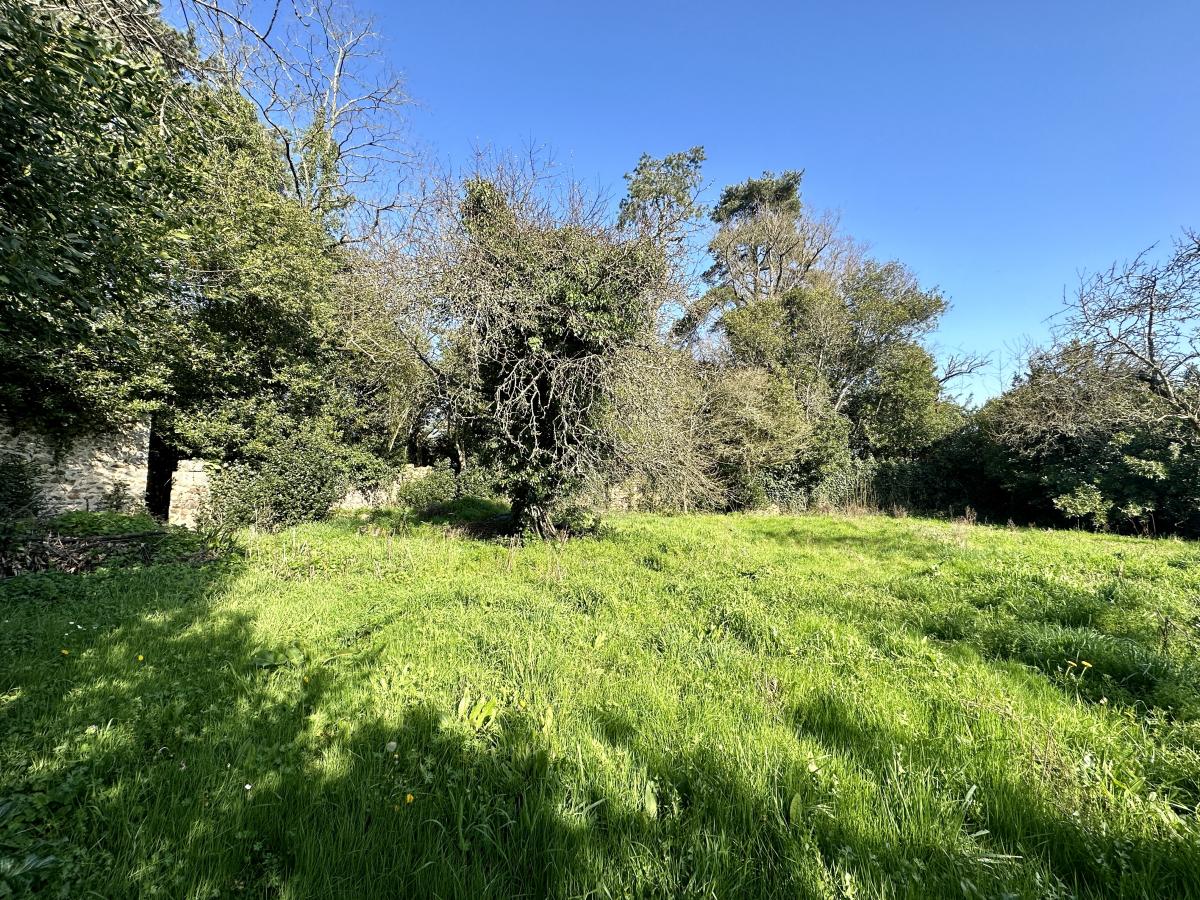 Terrain à Moutiers-les-Mauxfaits